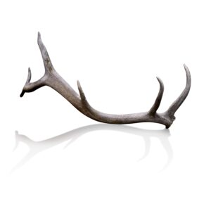 Antler