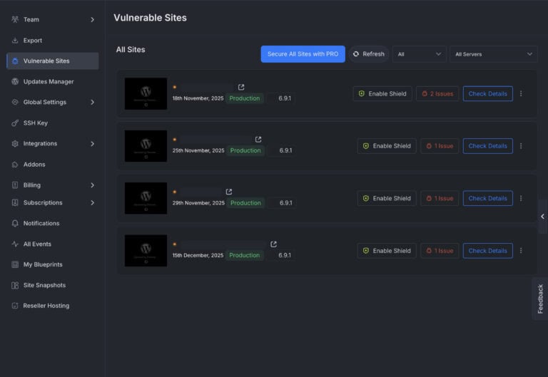 WordPress Website Hosting Security