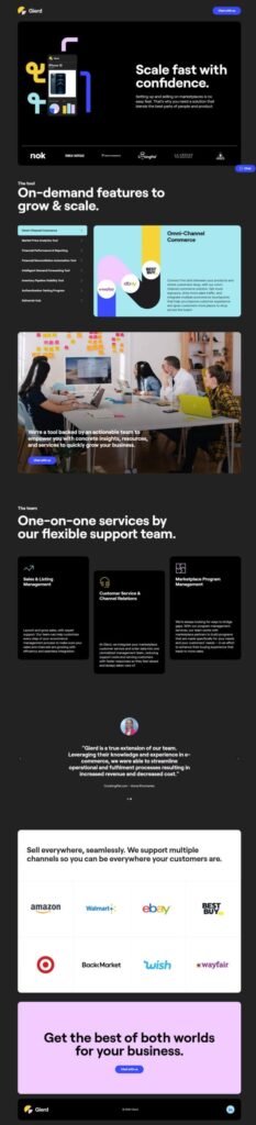 Wapiti Digital logo and website screenshot showcasing digital marketing solutions and on-demand features for business growth.