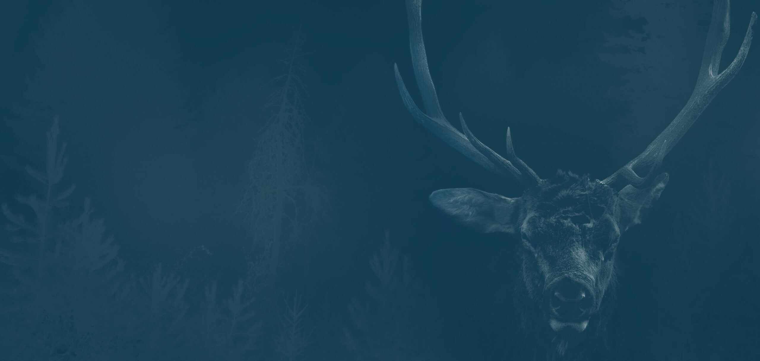 A majestic elk with large antlers standing in a dark forest, illuminated subtly by moonlight, showcasing wildlife and nature photography.