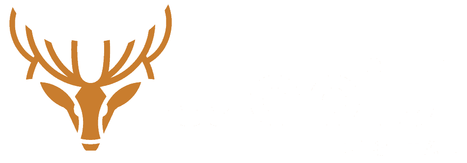 Wapiti Digital logo featuring a stylized deer head in brown with bold white text, representing a digital marketing agency focused on innovative online solutions.